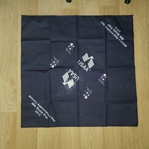 2013 USAA Military Appreciation Day MN State Fair Bandana Handkerchief Scarf